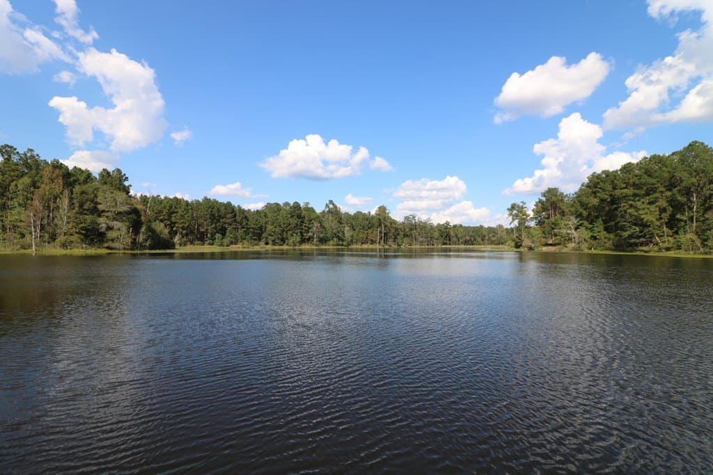 280 acres in Texas County - photo 28