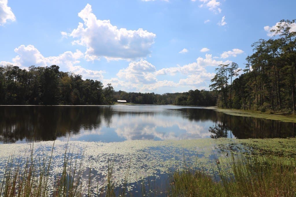 280 acres in Texas County - photo 20