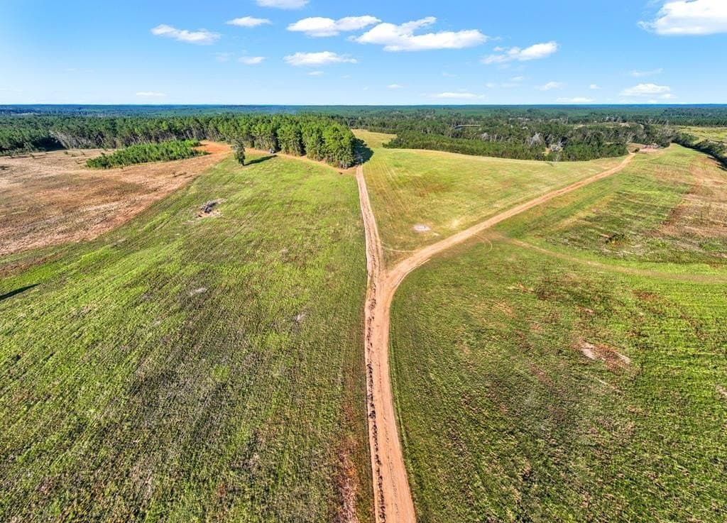 280 acres in Texas County - photo 44