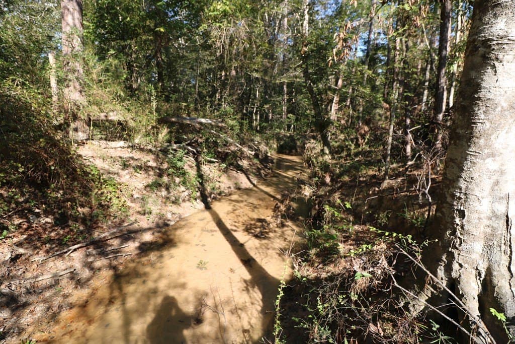 280 acres in Texas County - photo 36