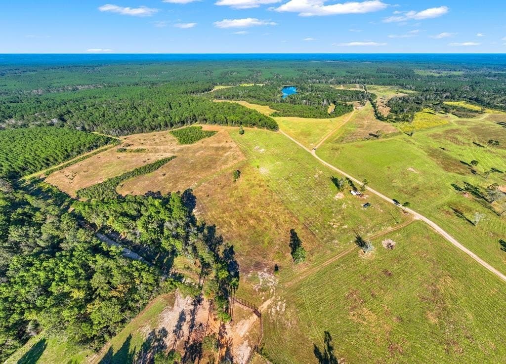 280 acres in Texas County - photo 41