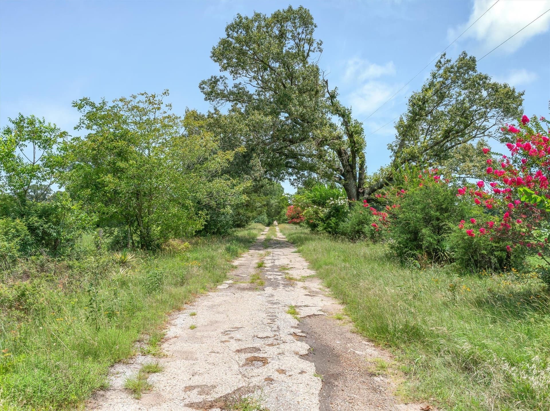501.78 acres in Van Zandt County - photo 6