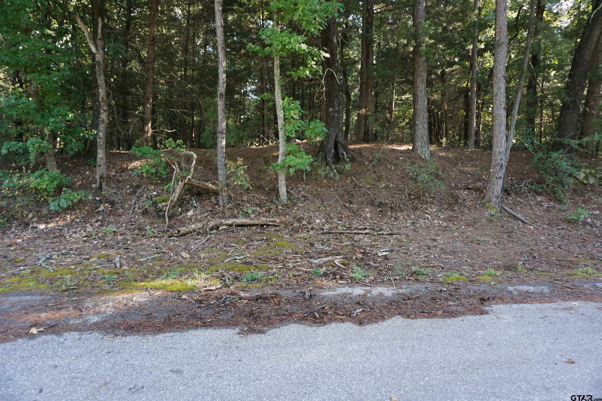6.66 acres in Wood County - photo 4