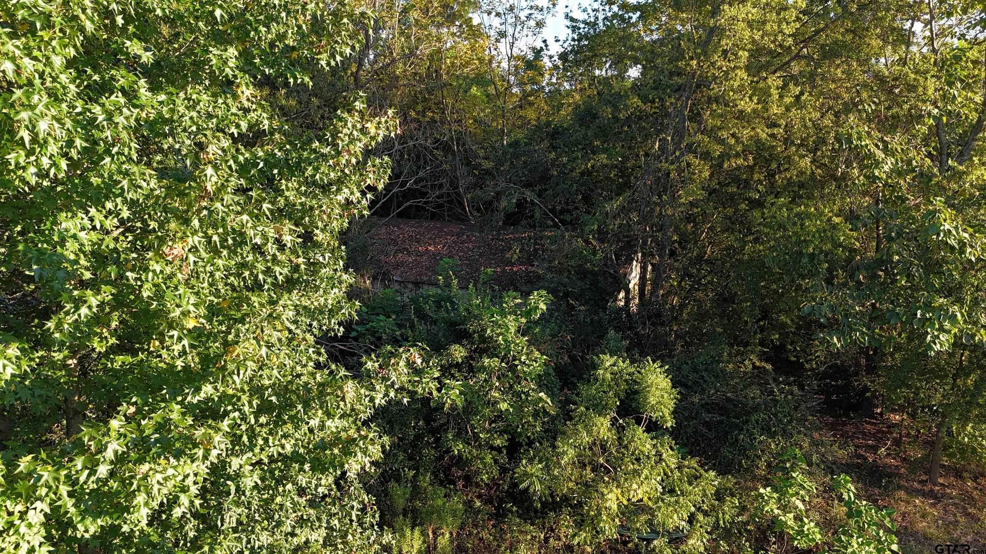 6.66 acres in Wood County - photo 9