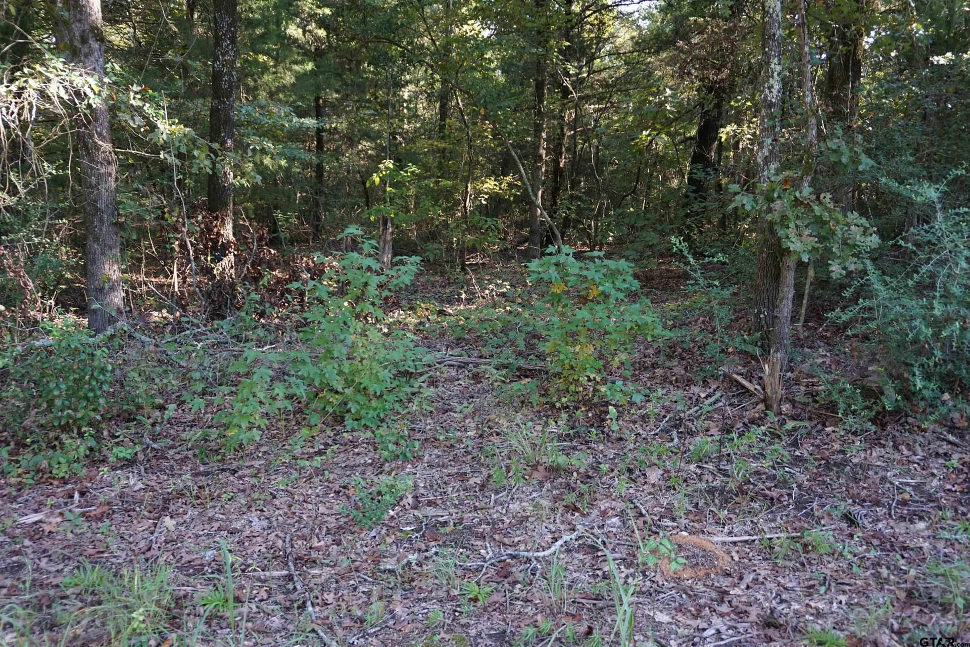 6.66 acres in Wood County - photo 6