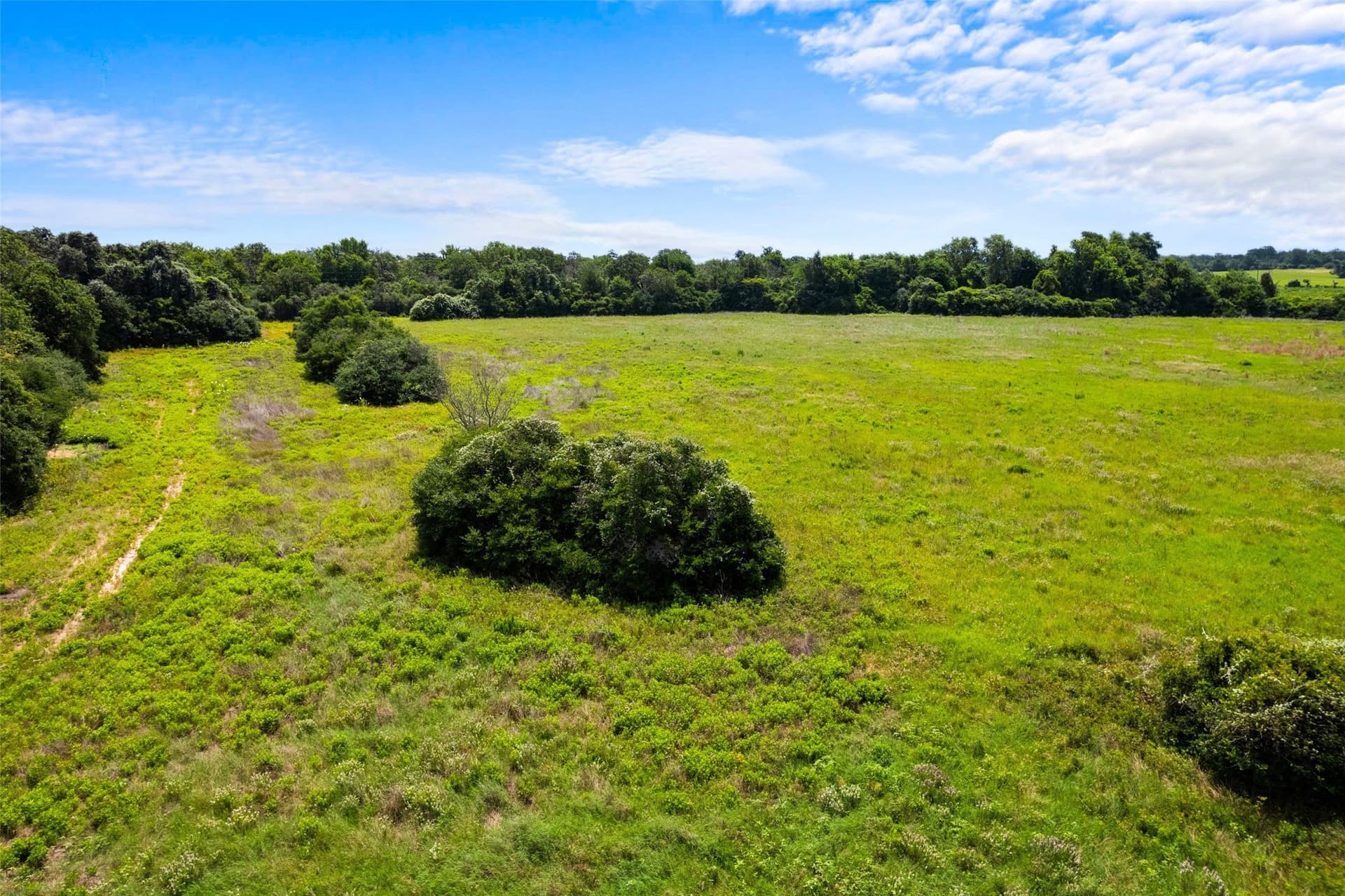 99.99 acres in Robertson County - photo 4