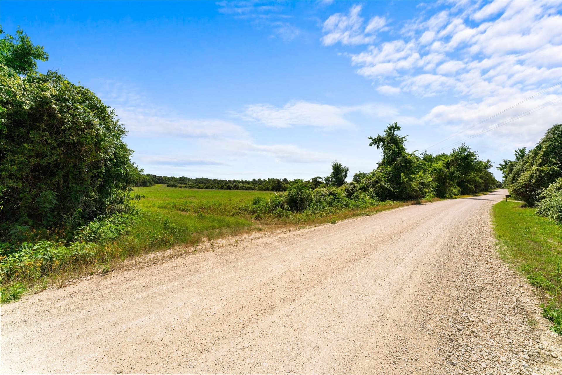99.99 acres in Robertson County - photo 7