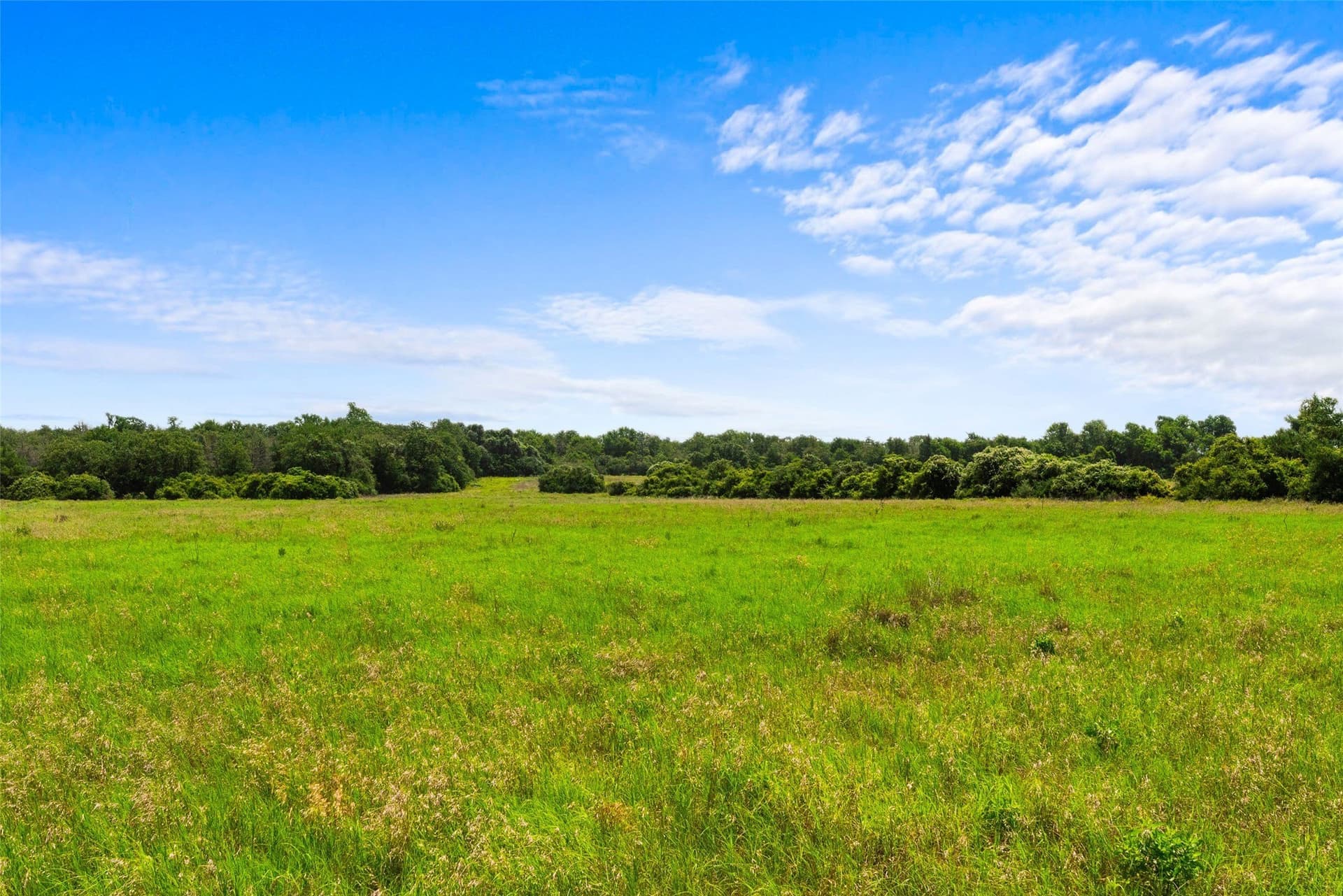 99.99 acres in Robertson County - photo 6