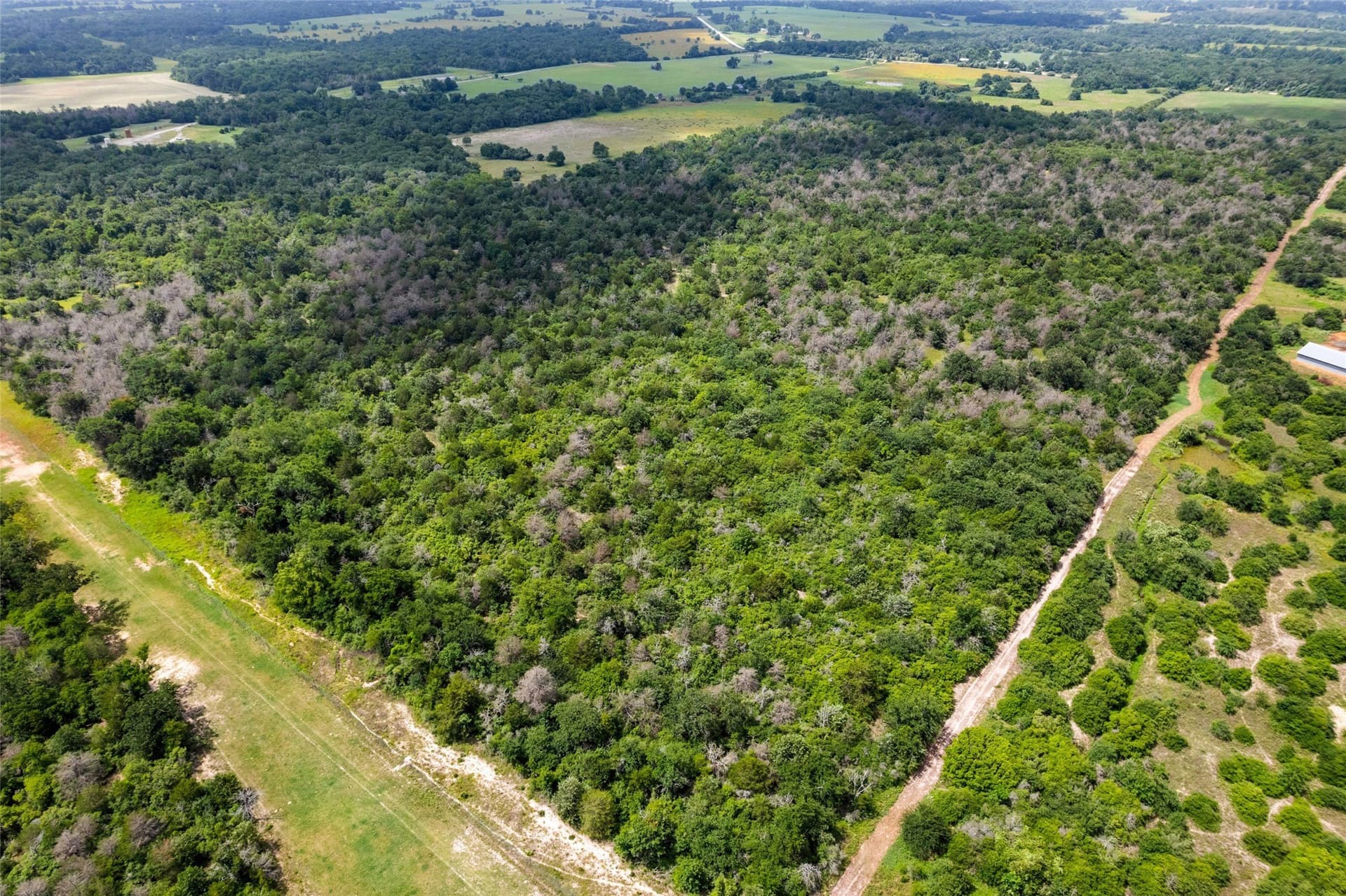 99.99 acres in Robertson County - photo 13