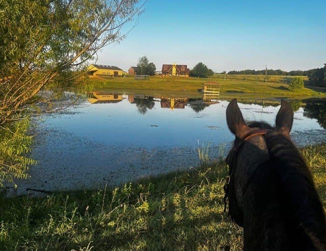 9.52 acres in Ellis County - photo 32