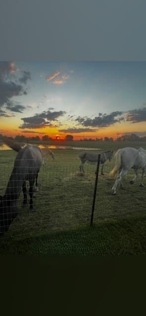 9.52 acres in Ellis County - photo 33