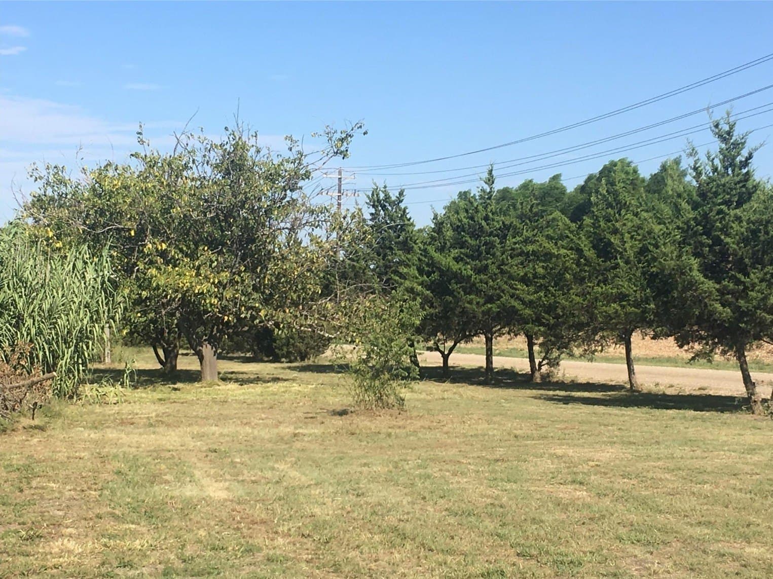 5.91 acres in Hunt County - photo 9