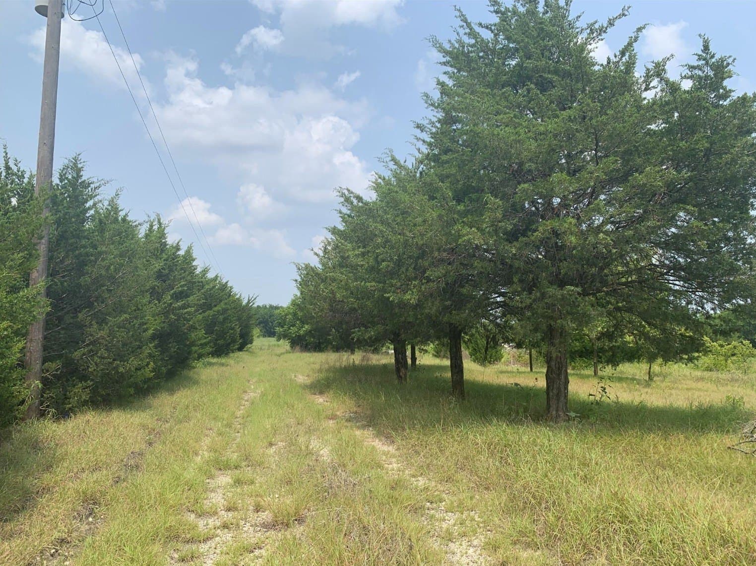 5.91 acres in Hunt County - photo 13