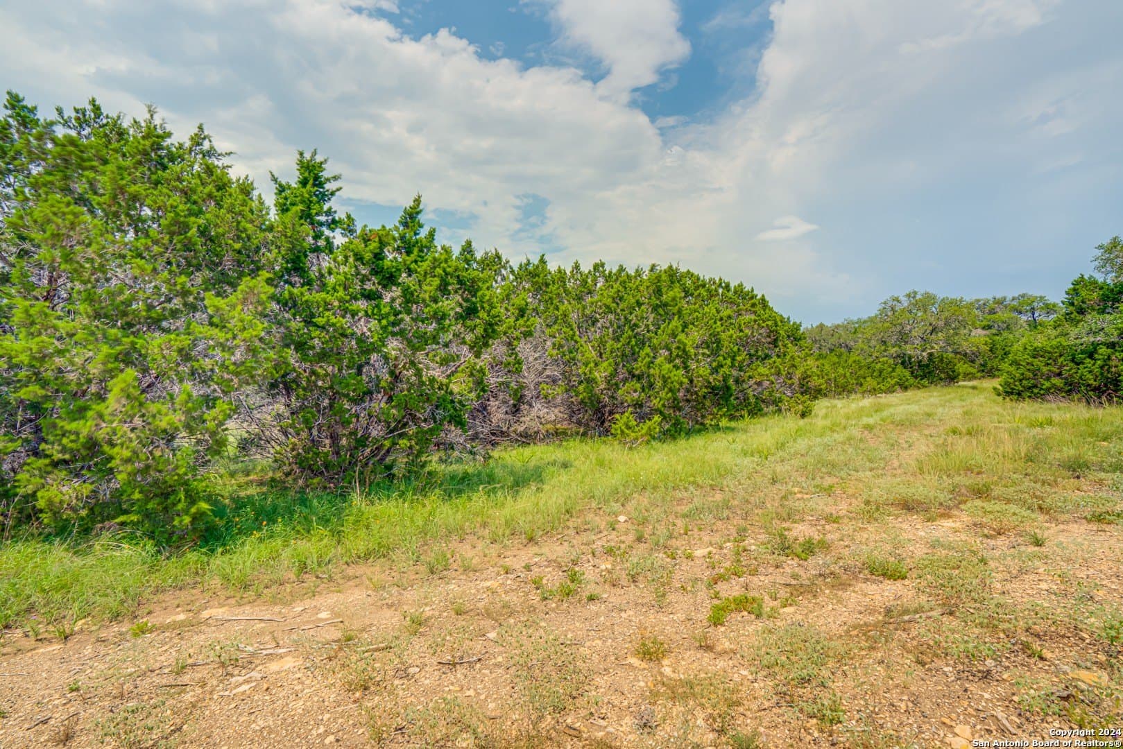 1.19 acres in Guadalupe County gallery image 4