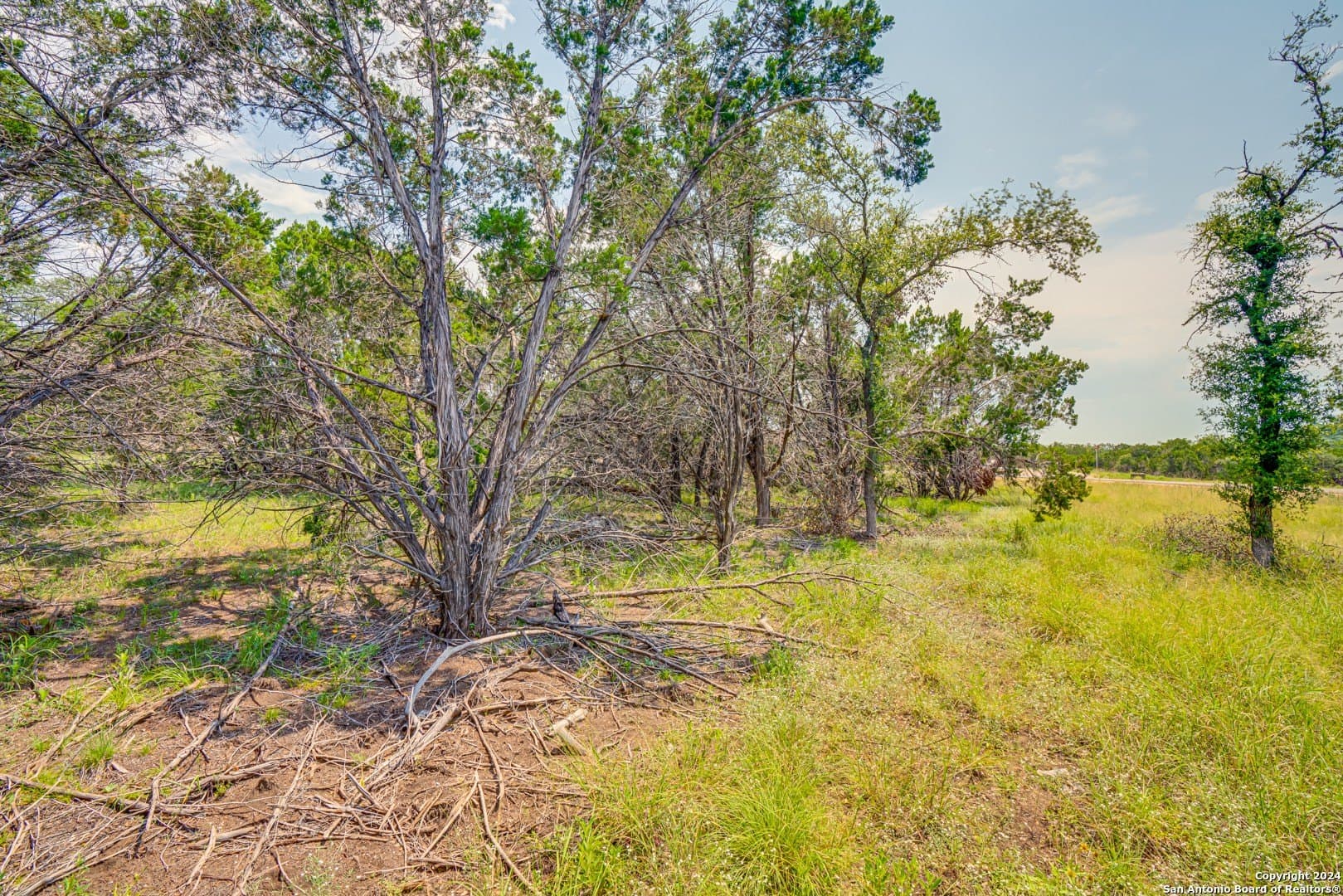 1.19 acres in Guadalupe County - photo 8
