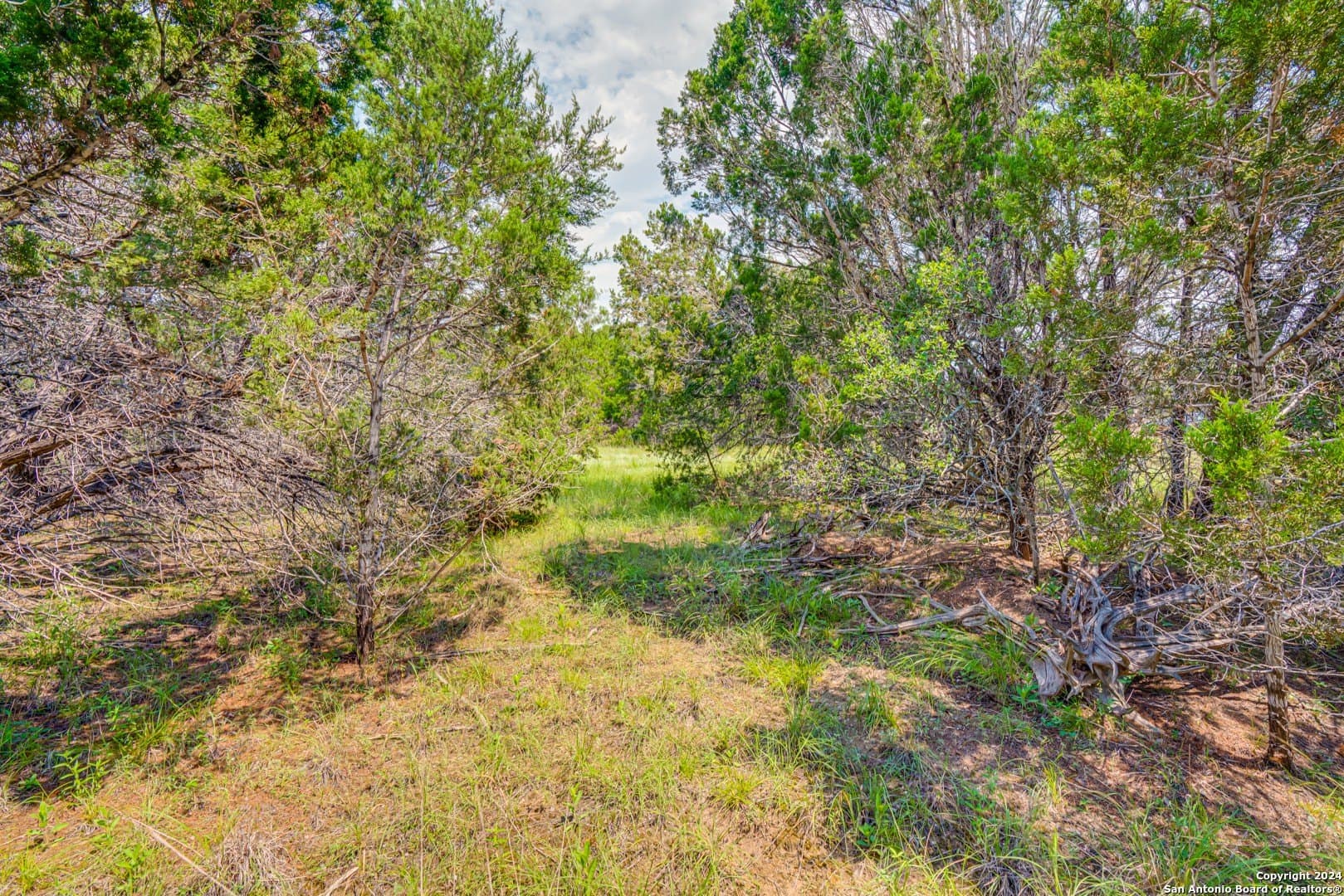 1.19 acres in Guadalupe County - photo 10