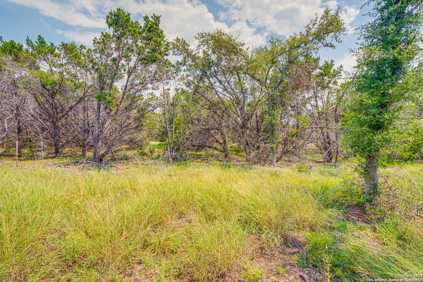 1.19 acres in Guadalupe County - photo 9