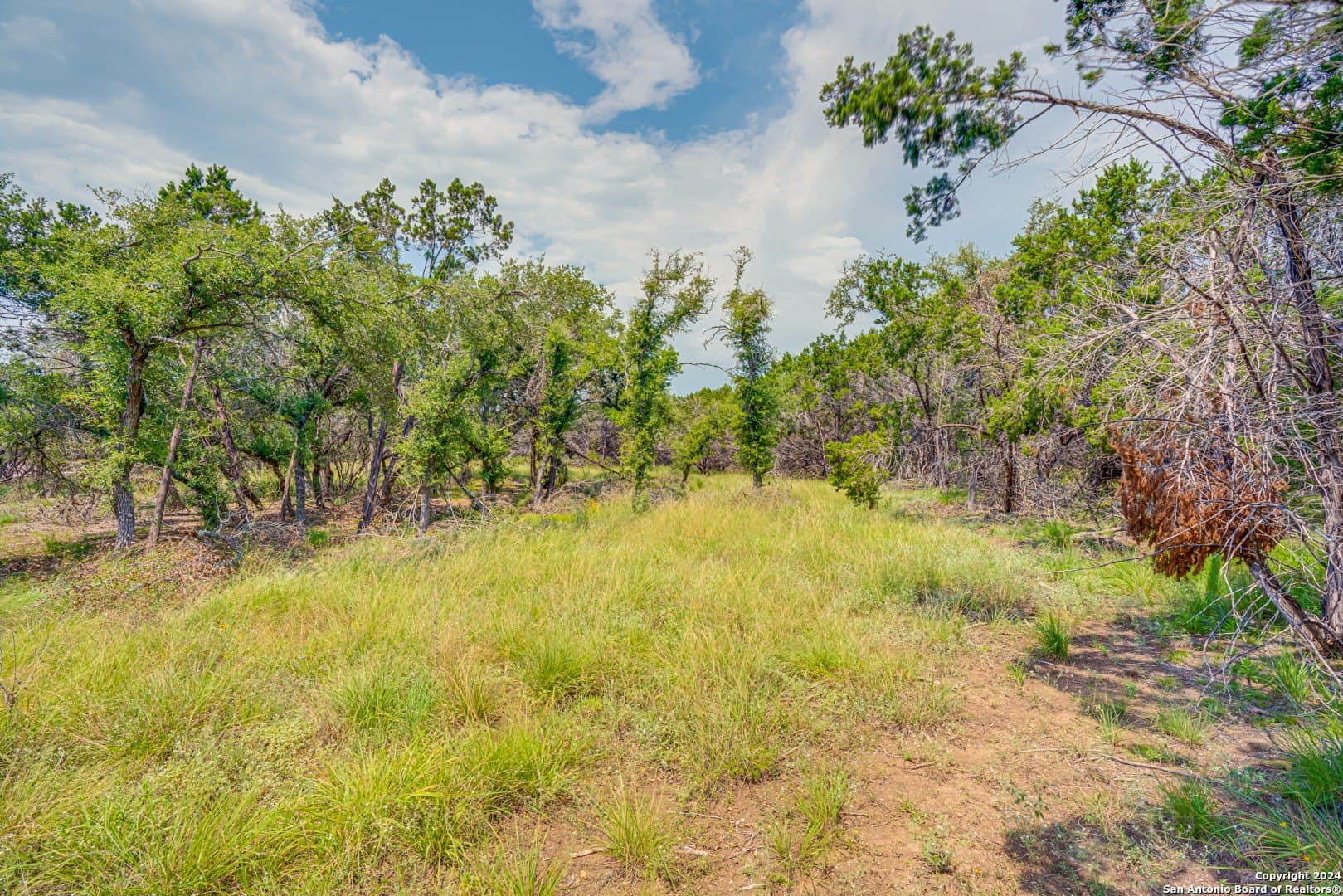 1.19 acres in Guadalupe County - photo 7