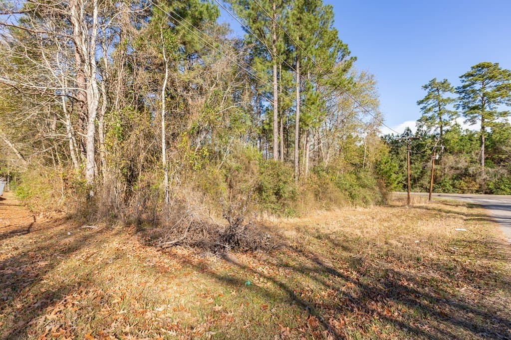 0.13 acres in Texas County gallery image 4