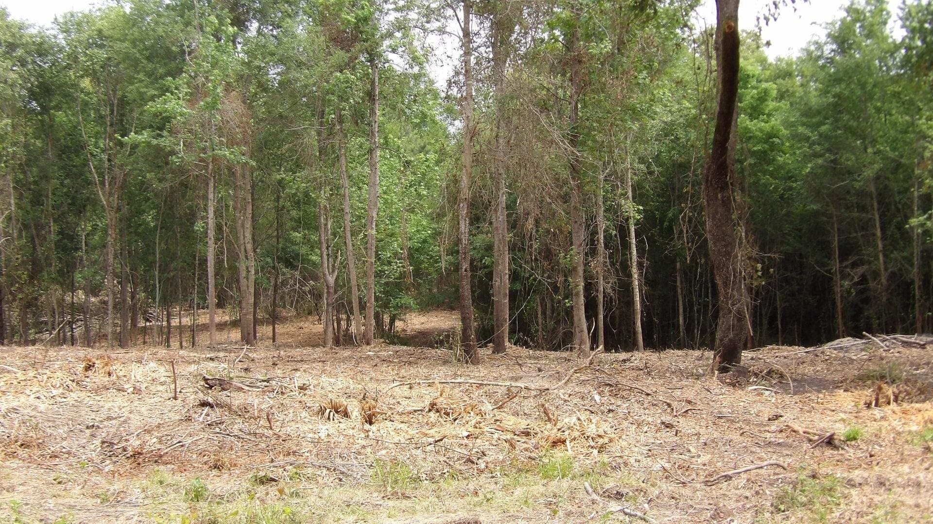 13 acres in Harrison County
