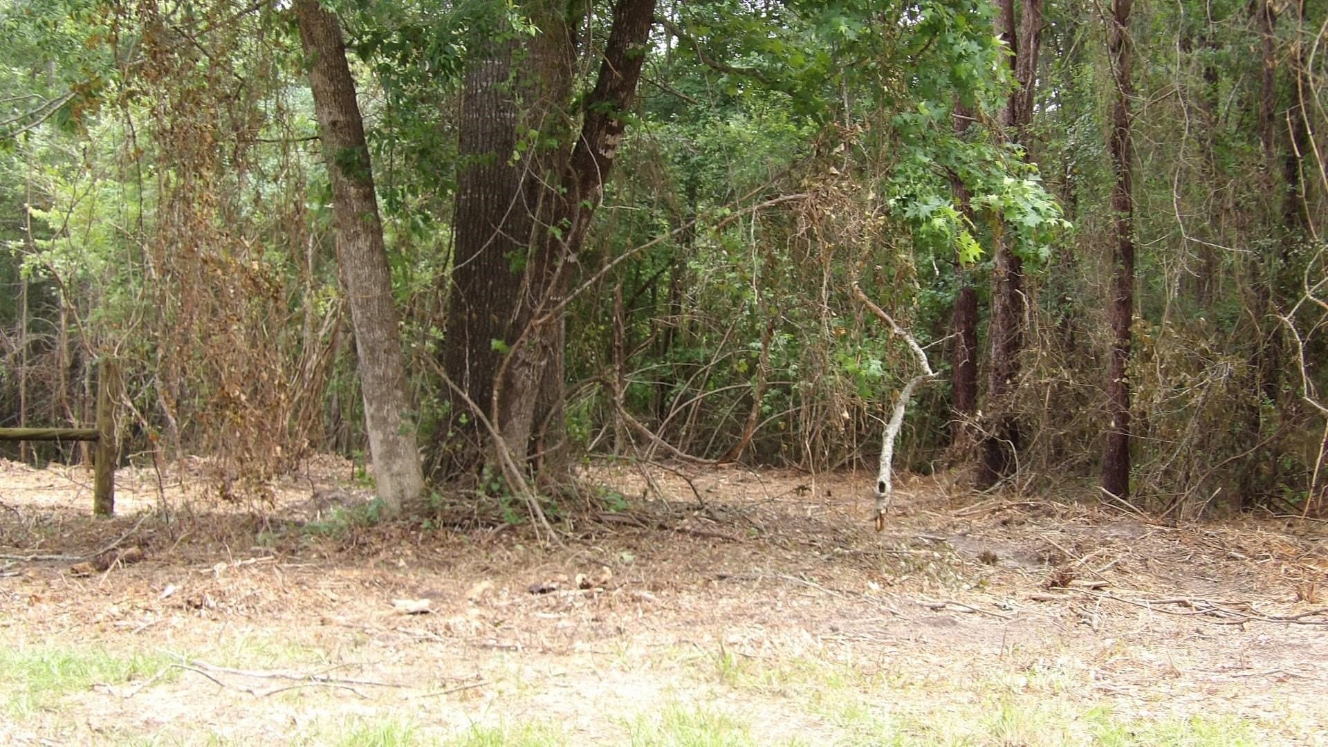 13 acres in Harrison County gallery image 4