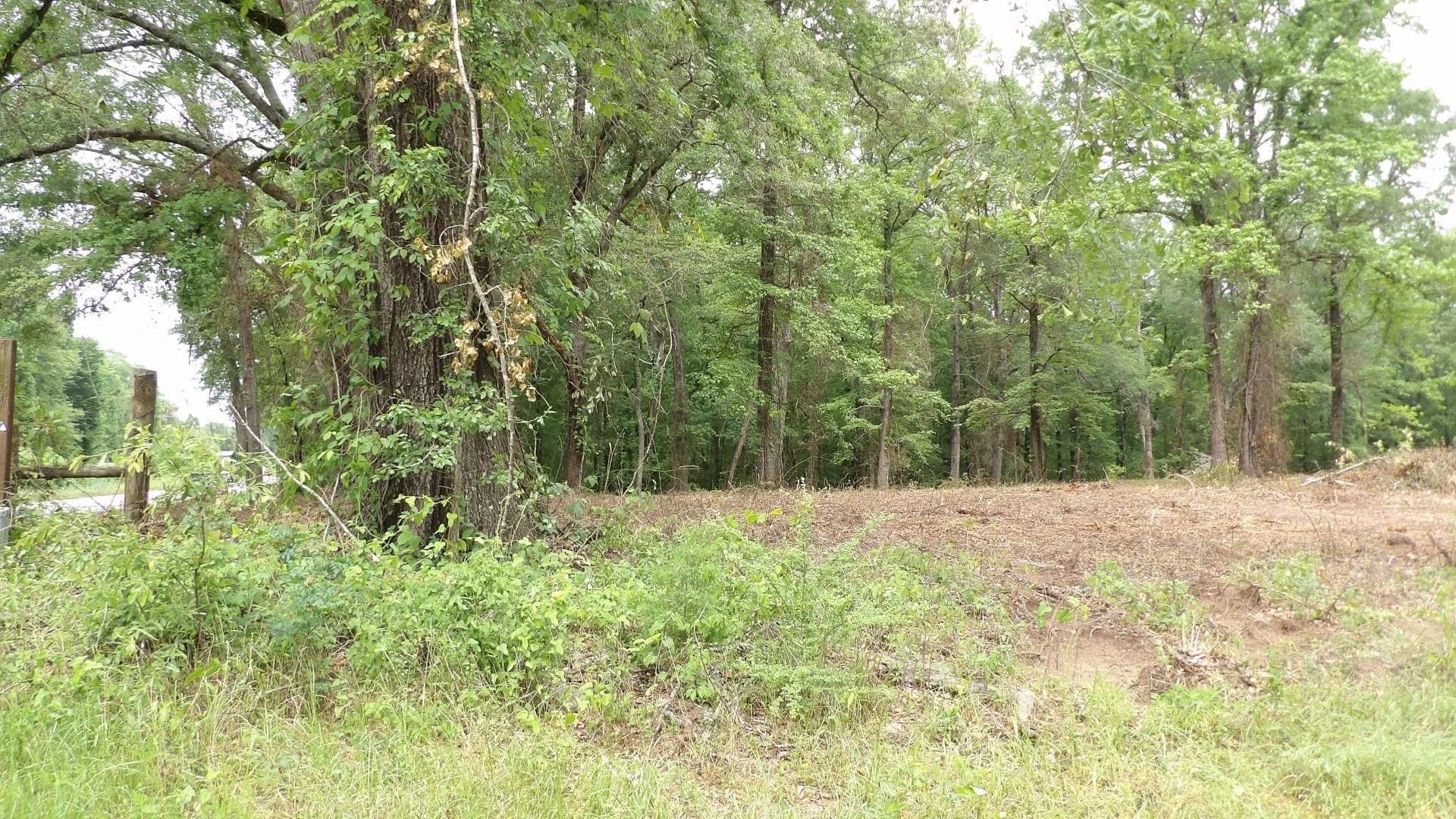 13 acres in Harrison County featured view