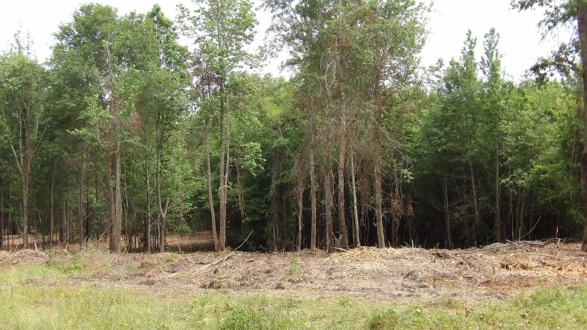 13 acres in Harrison County gallery image 3