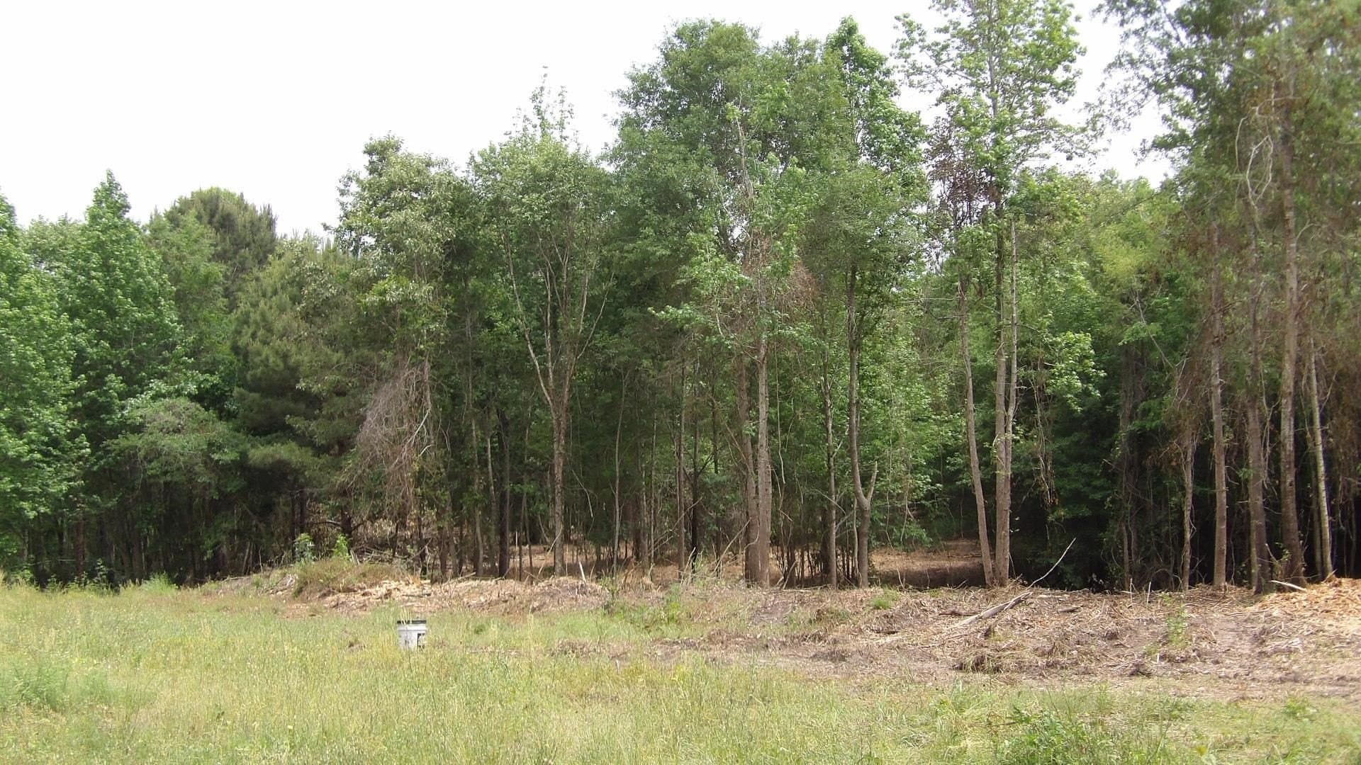 13 acres in Harrison County gallery image 2