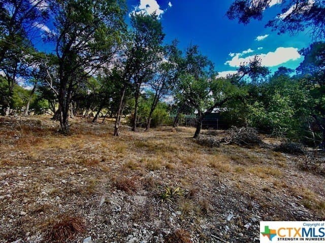 0.26 acres in Hays County gallery image 3