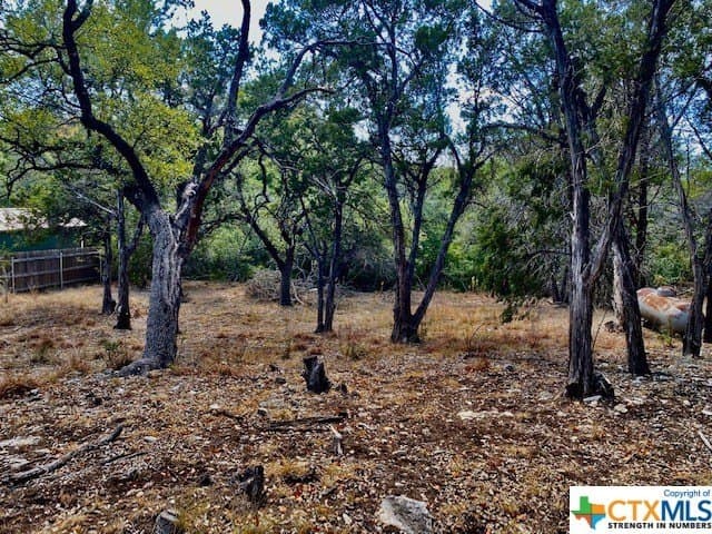0.26 acres in Hays County gallery image 4