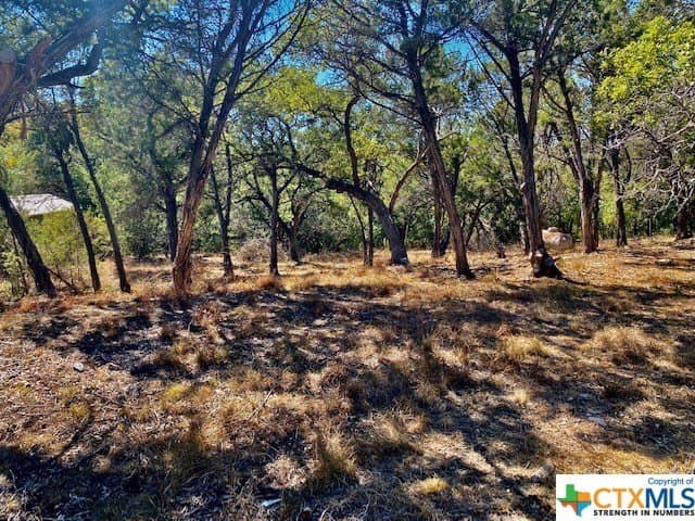0.26 acres in Hays County gallery image 2