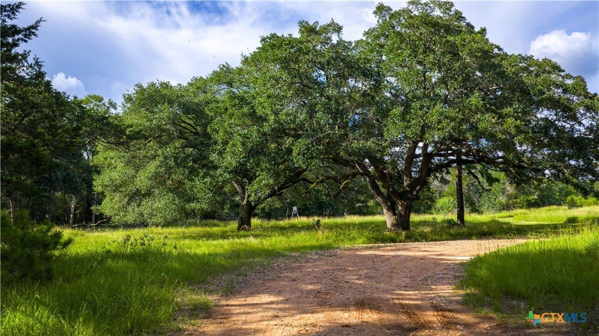 70 acres in Colorado County featured view