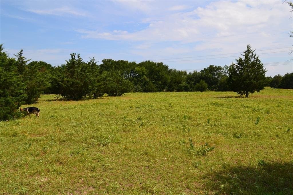 37 acres in Hunt County featured view
