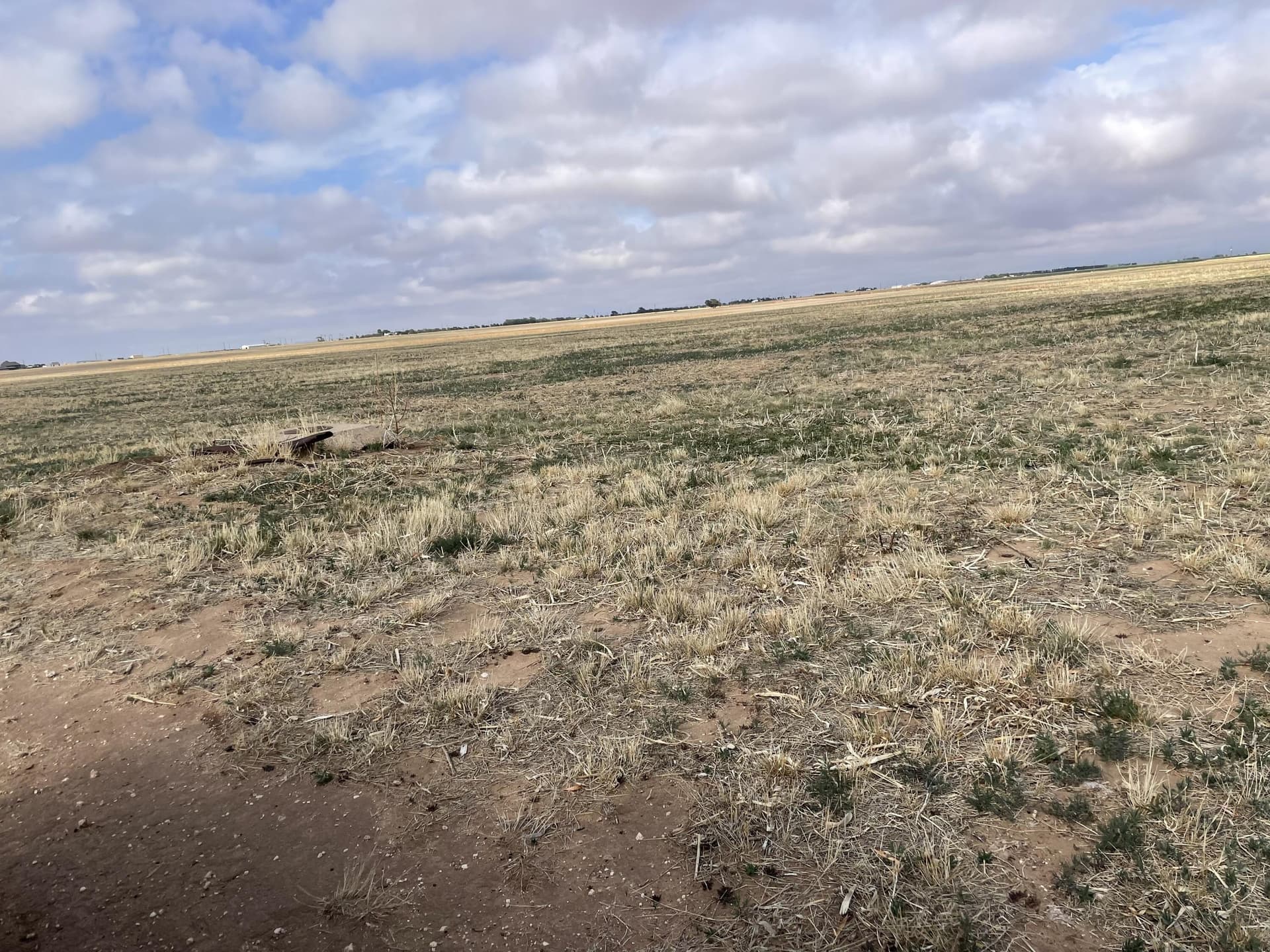 10.01 acres in Lubbock County gallery image 2