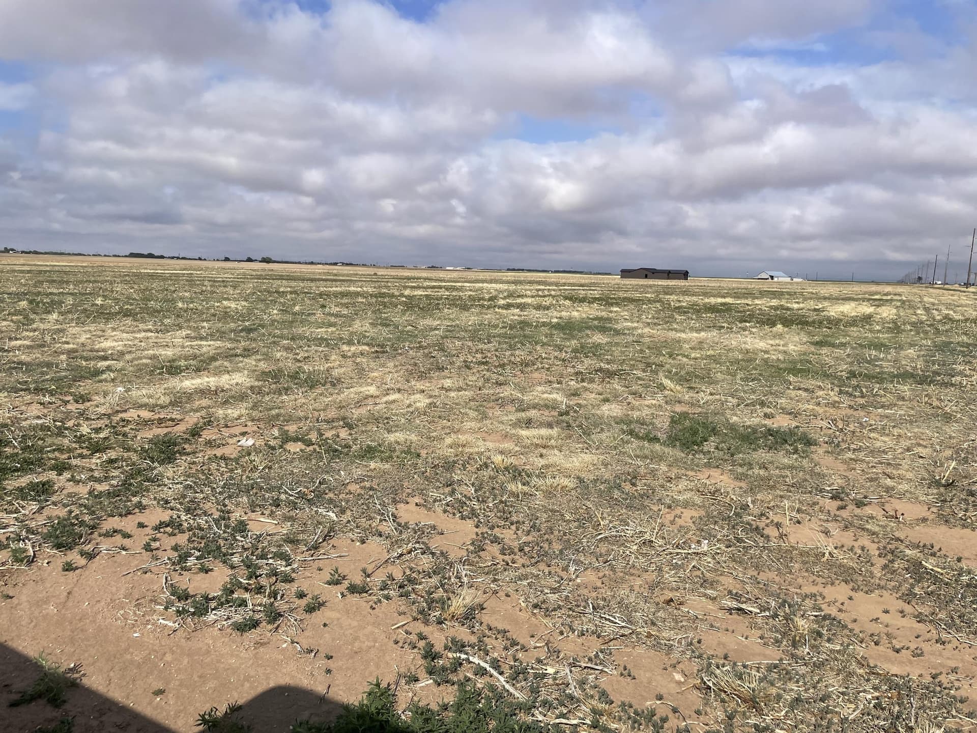 10.01 acres in Lubbock County featured view