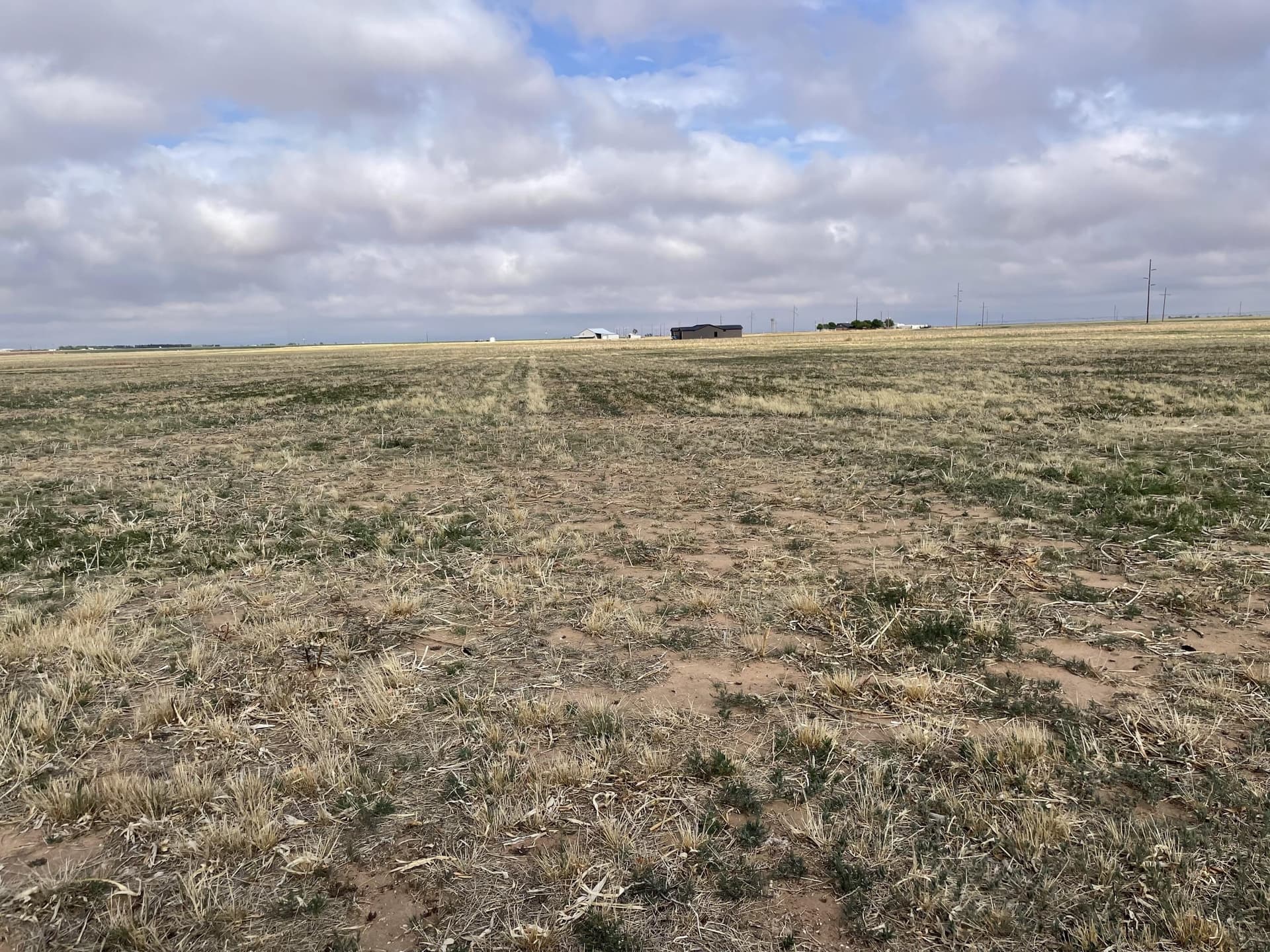 10.01 acres in Lubbock County gallery image 3