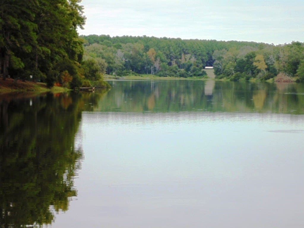 5.01 acres in Henderson County - photo 13