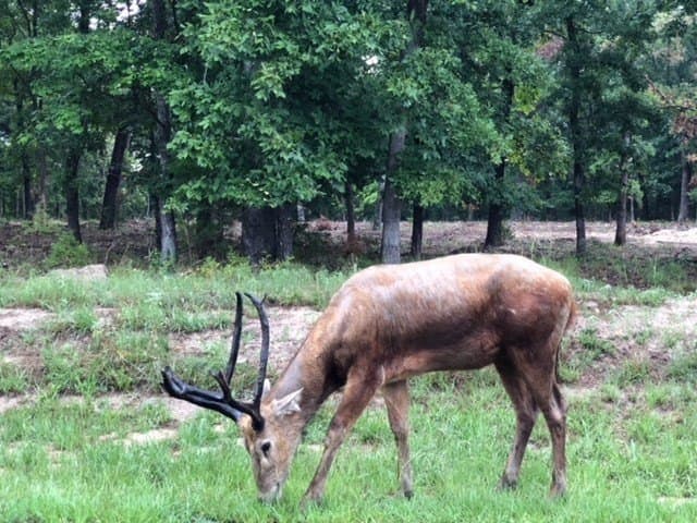 5.01 acres in Henderson County - photo 24
