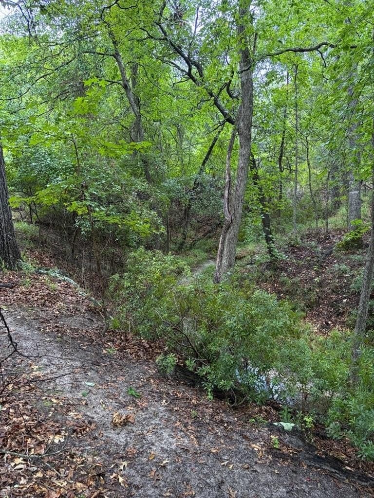 5.01 acres in Henderson County - photo 6