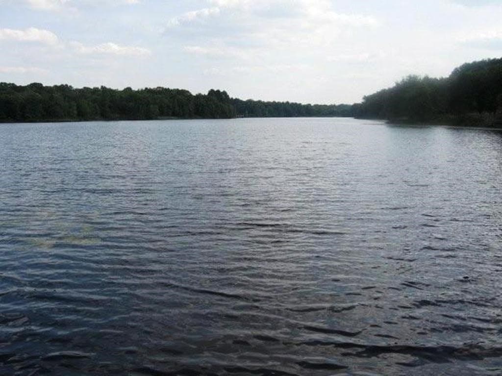 5.01 acres in Henderson County - photo 12