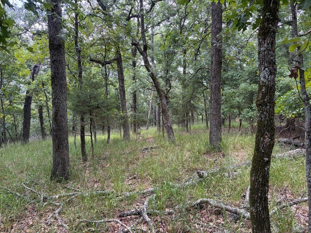 5.01 acres in Henderson County gallery image 4