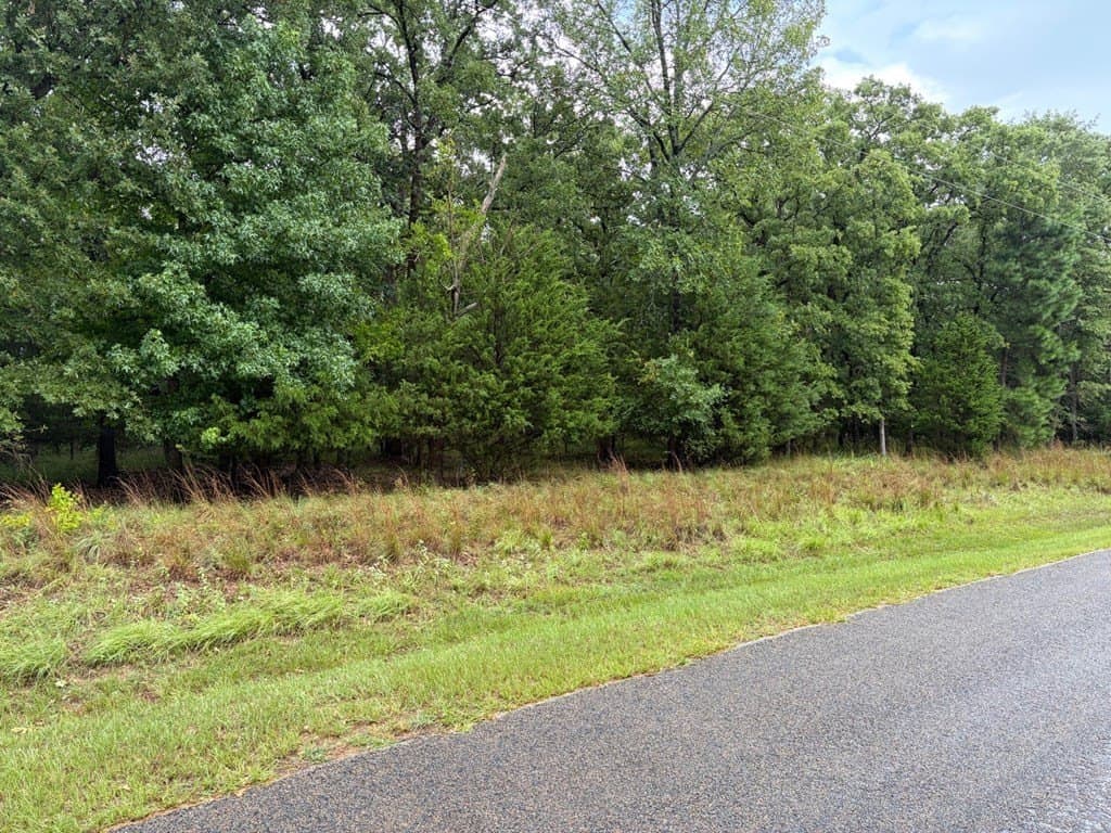 5.01 acres in Henderson County gallery image 2