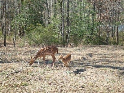 5.01 acres in Henderson County - photo 28