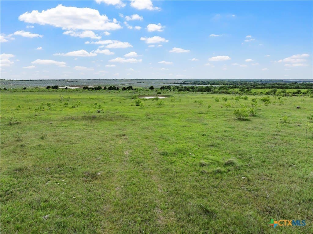 50.22 acres in Falls County - photo 15