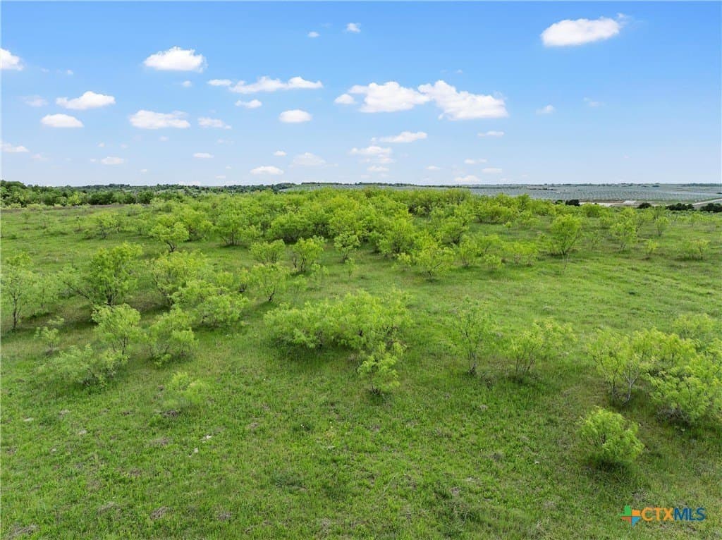 50.22 acres in Falls County - photo 10