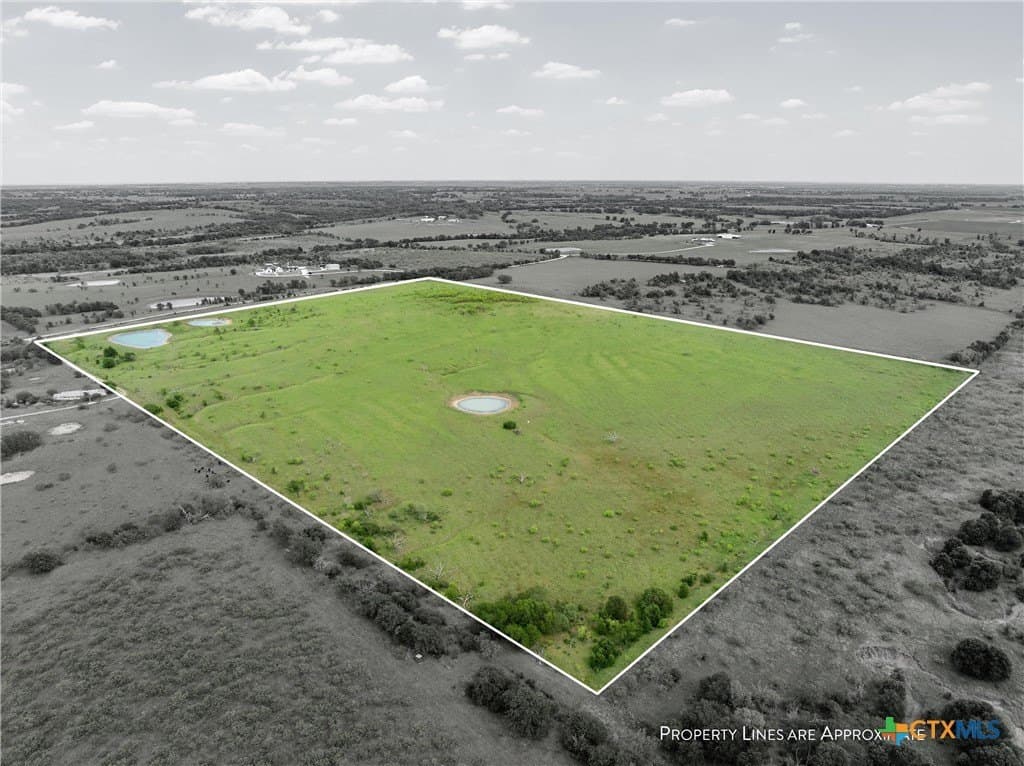 50.22 acres in Falls County gallery image 2