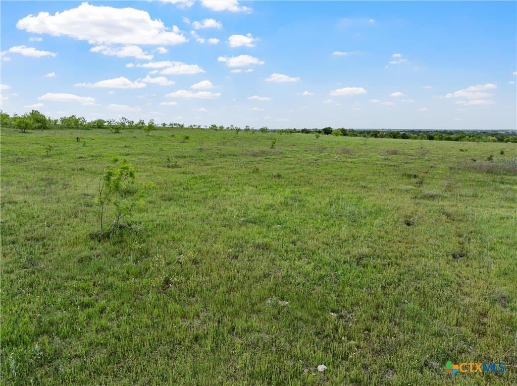 50.22 acres in Falls County - photo 13