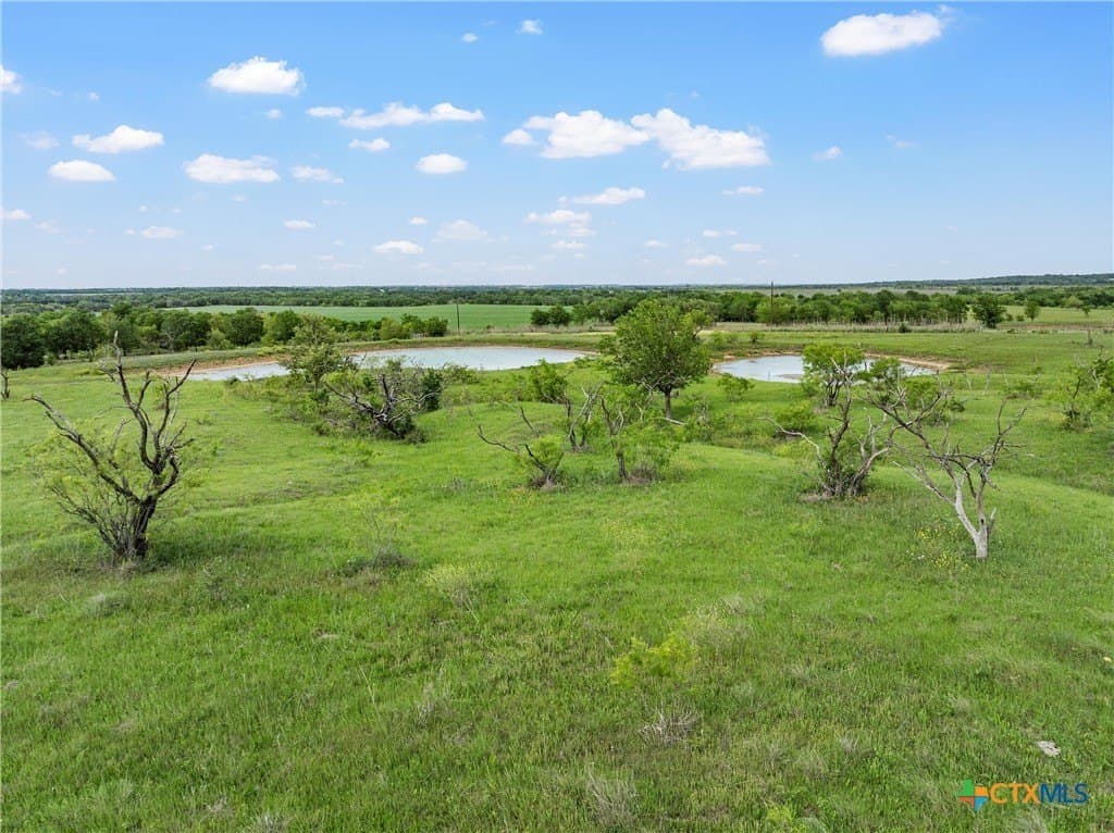 50.22 acres in Falls County - photo 16