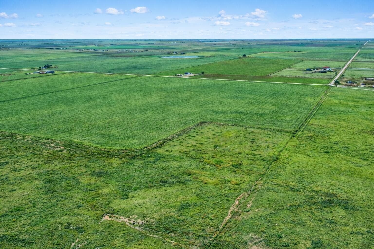 10 acres in Randall County gallery image 4