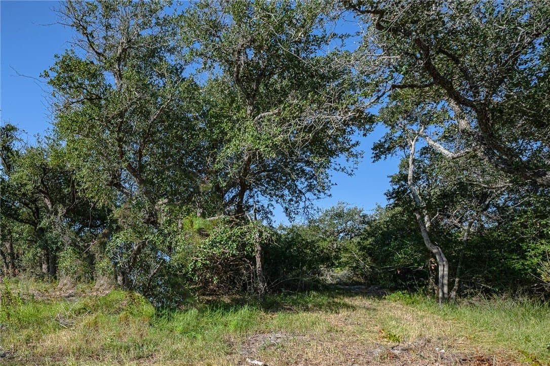 9.2 acres in Aransas County - photo 15